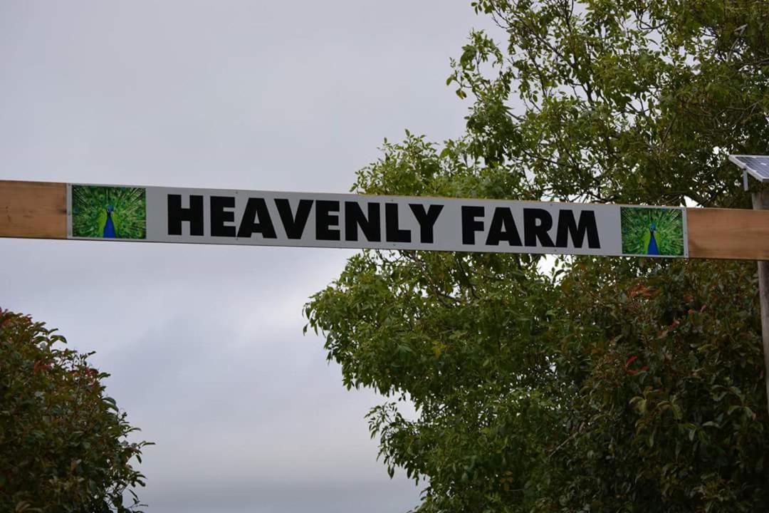 Heavenly Farm B & B Tasmania Boat Harbour Exterior foto